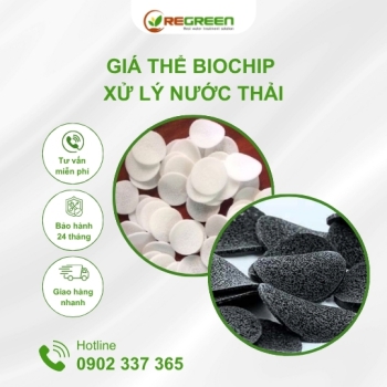 Giá thể Biochip xử lý nước thải chính hãng