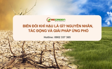 Biến đổi khí hậu là gì? Nguyên nhân, tác động và giải pháp ứng phó