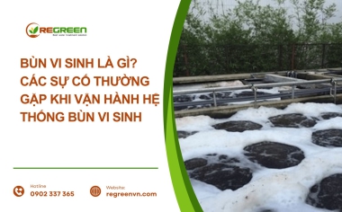 Bùn vi sinh là gì? Các sự cố thường gặp khi vận hành hệ thống bùn vi sinh