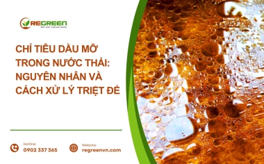 Chỉ tiêu dầu mỡ trong nước thải: Nguyên nhân và Cách xử lý triệt để