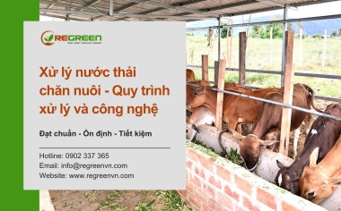 Xử lý nước thải chăn nuôi - Tổng quan về quy trình và công nghệ