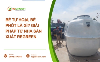 Bể tự hoại là gì? Giải pháp xử lý nước thải tại ReGreen Việt Nam