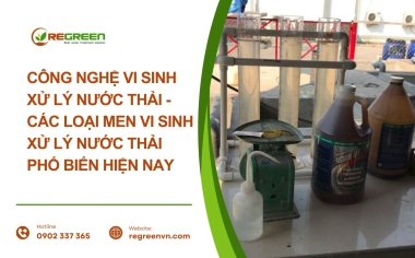 Công nghệ vi sinh xử lý nước thải - Các loại men vi sinh xử lý nước thải phổ biến hiện nay