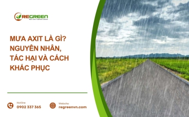 Mưa axit là gì? Nguyên nhân, tác hại và cách khắc phục