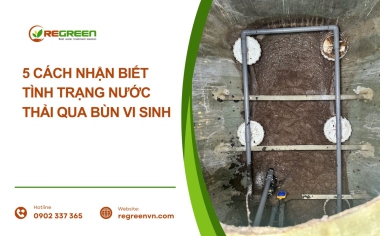 Nhận biết tình trạng nước thải qua bùn vi sinh