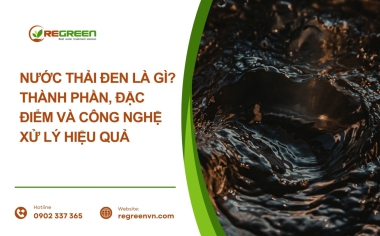 Nước thải đen là gì? Thành phần, đặc điểm và công nghệ xử lý hiệu quả