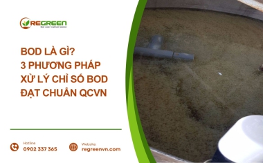 BOD là gì? 3 Phương pháp xử lý chỉ số BOD đạt chuẩn QCVN