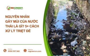 Nguyên nhân gây mùi của nước thải là gì?