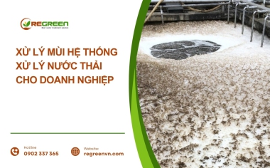Xử lý mùi hệ thống xử lý nước thải cho doanh nghiệp