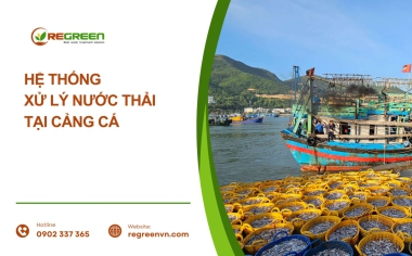 Hệ thống xử lý nước thải tại Cảng cá