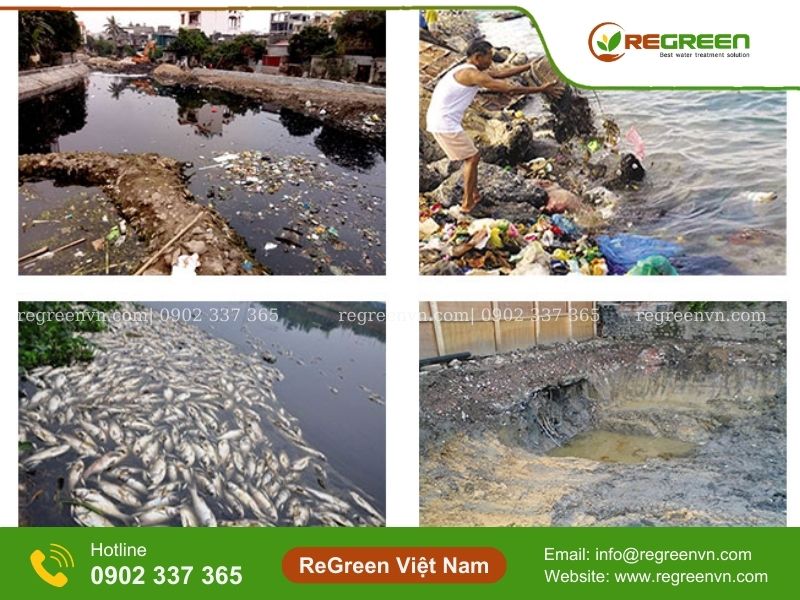 Nguồn gốc gây ô nhiễm môi trường