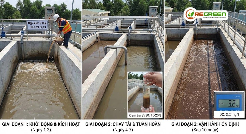 Quy trình nuôi cấy bùn vi sinh
