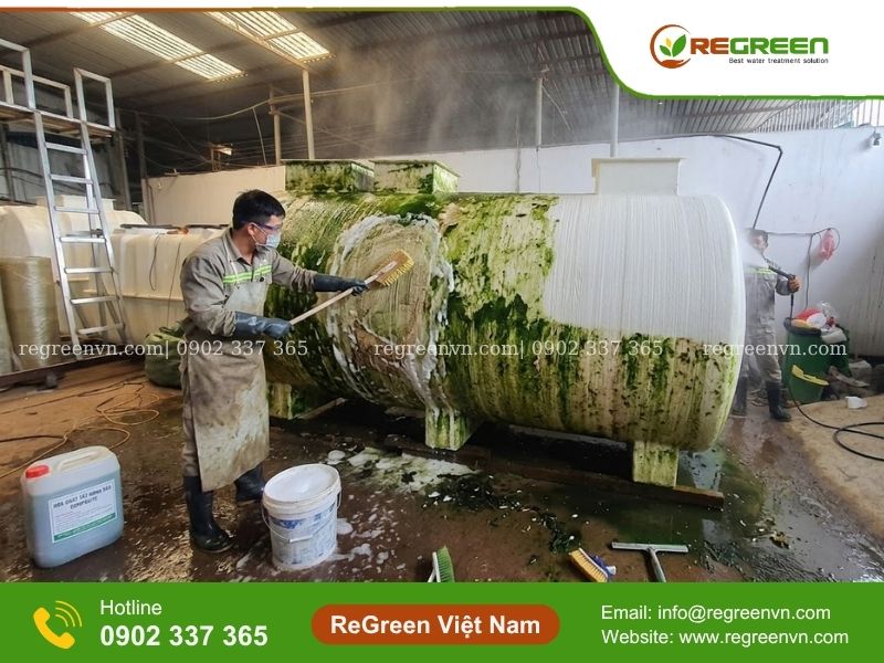Cách xử lý bồn composite bị rong rêu