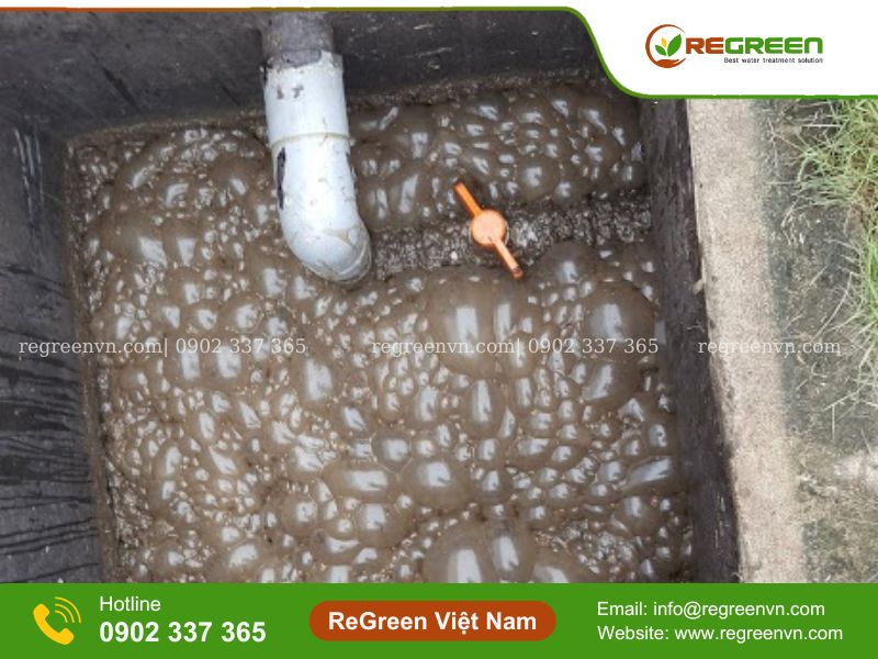 Hệ bùn vi sinh thiếu khí
