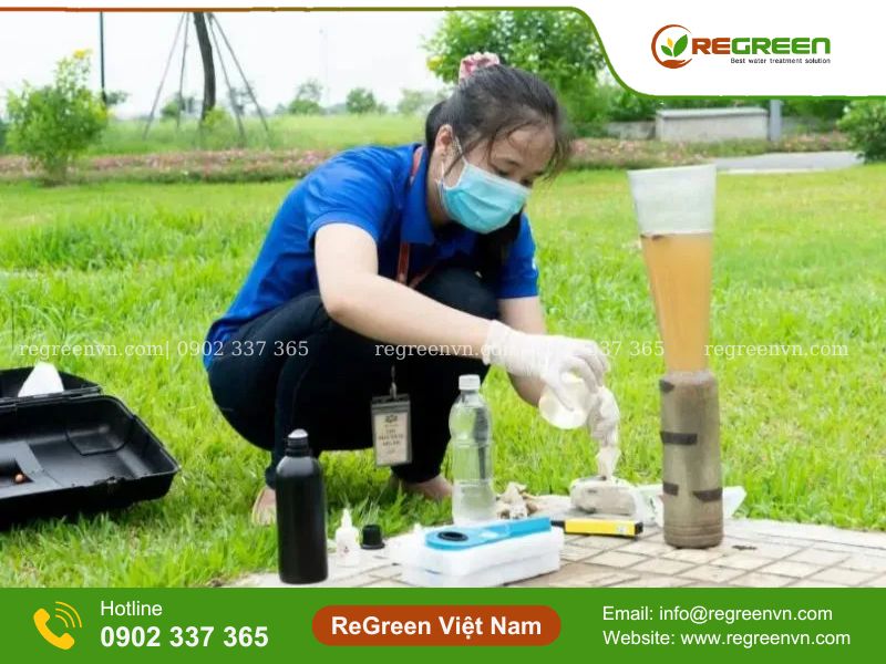 các kiểu bùn vi sinh