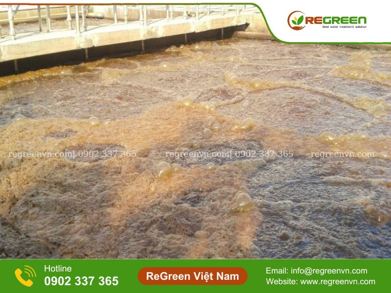 Sự cố bùn vi sinh