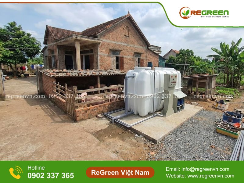 Bể xử lý nước thải chăn nuôi
