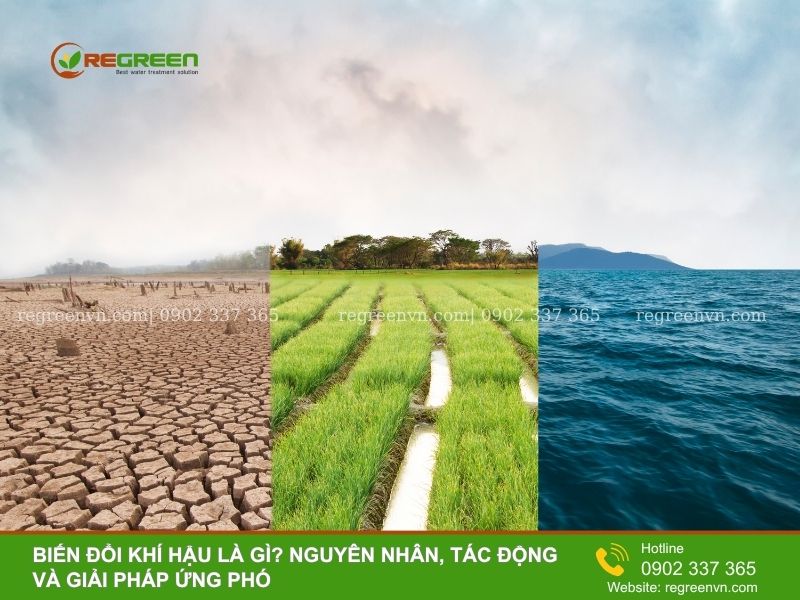 Biến đổi khí hậu là gì
