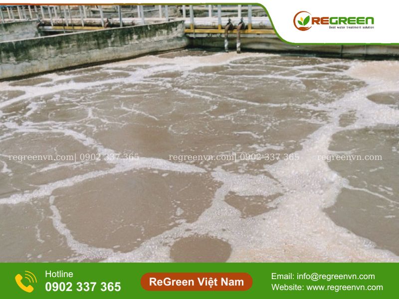 Xử lý vấn đề bọt nổi trên bể bùn hoạt tính do Nocardia