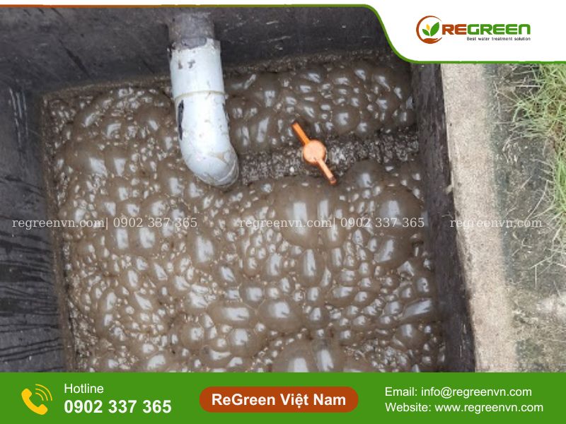 bùn có Bọt nâu sậm, bùn lắng kém