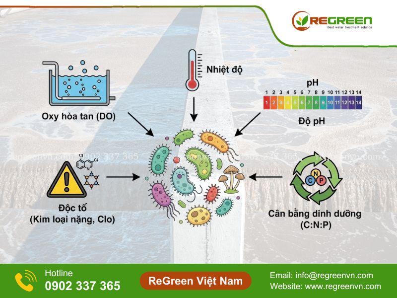 Các yếu tố môi trường ảnh hưởng đến động học vi sinh