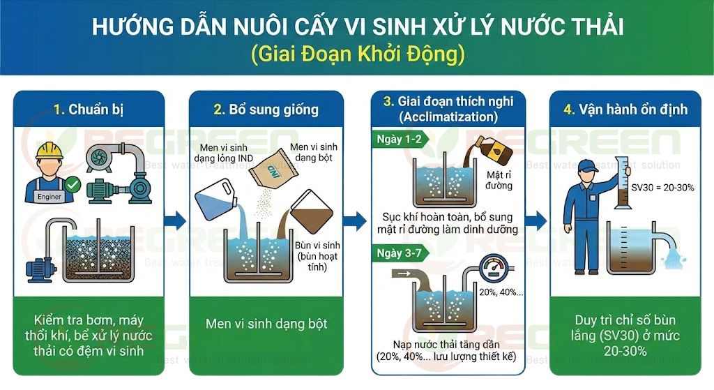 Hướng dẫn nuôi cấy vi sinh xử lý nước thải