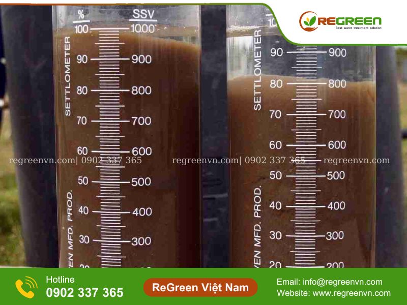 Cách tính chỉ số SVI