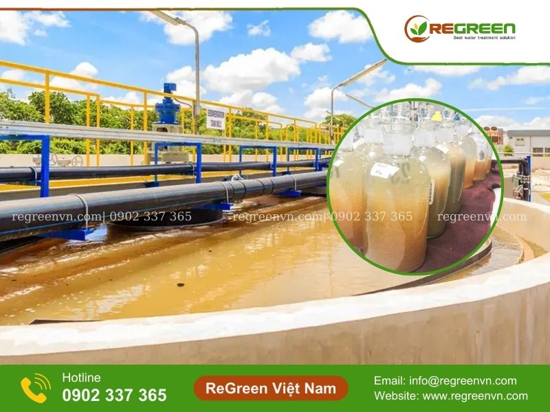 Chỉ số BOD trong nước thải