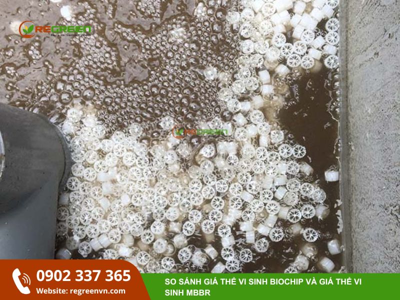 Kết hợp công nghệ AAO-MBBR trong xử lý nước thải