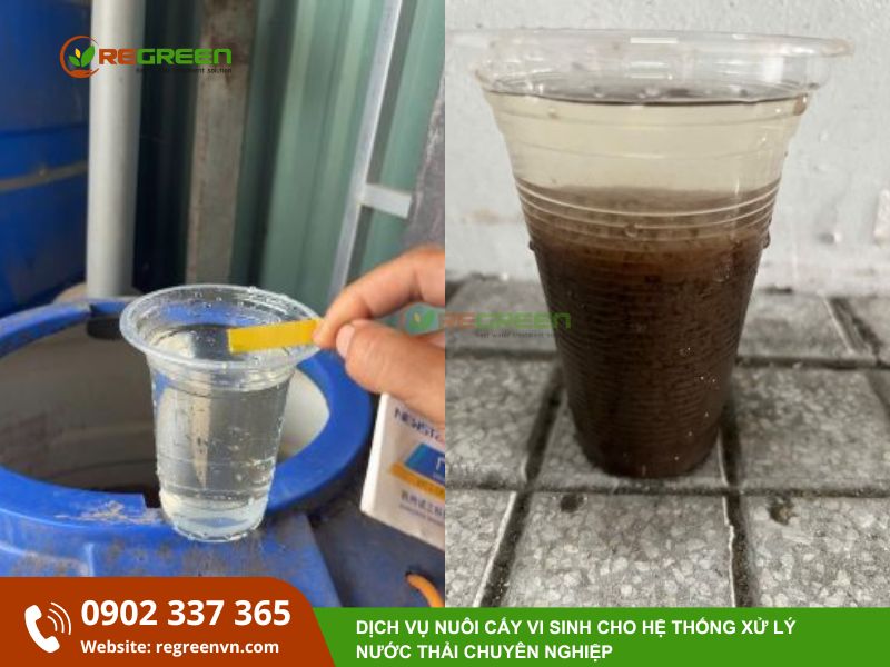 công trình xử lý nước thải