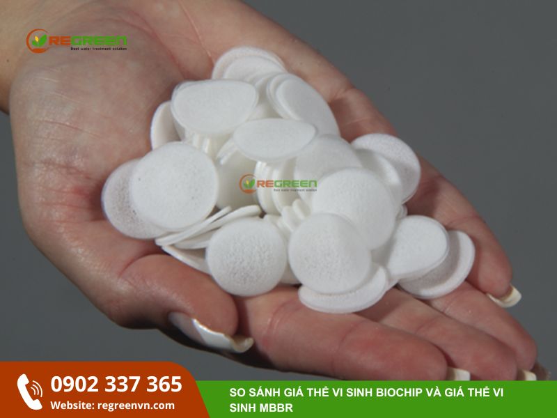 Giá thể vi sinh Biochip là gì