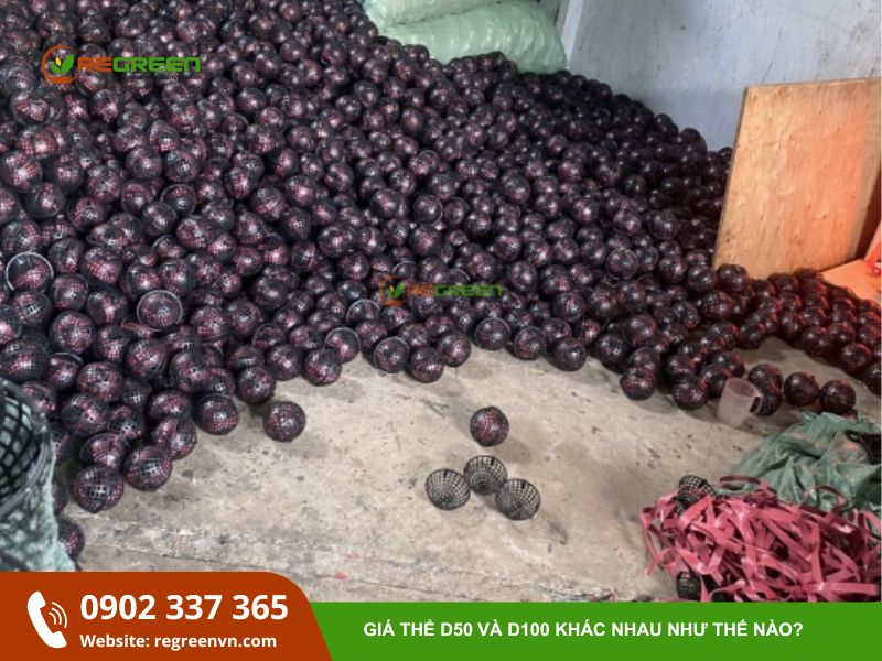 giá thể vi sinh d100