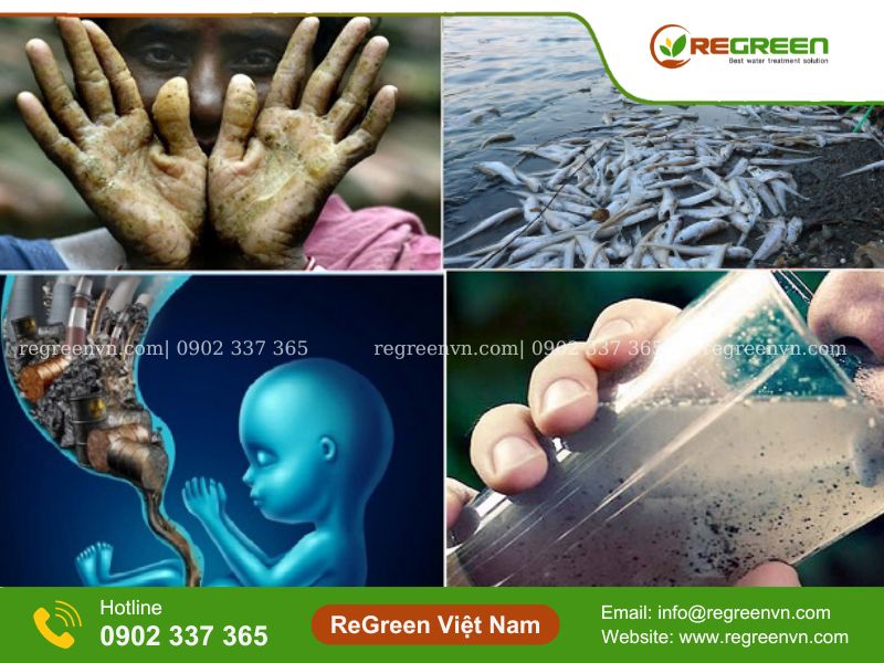 hậu quả của việc ô nhiễm môi trường nước