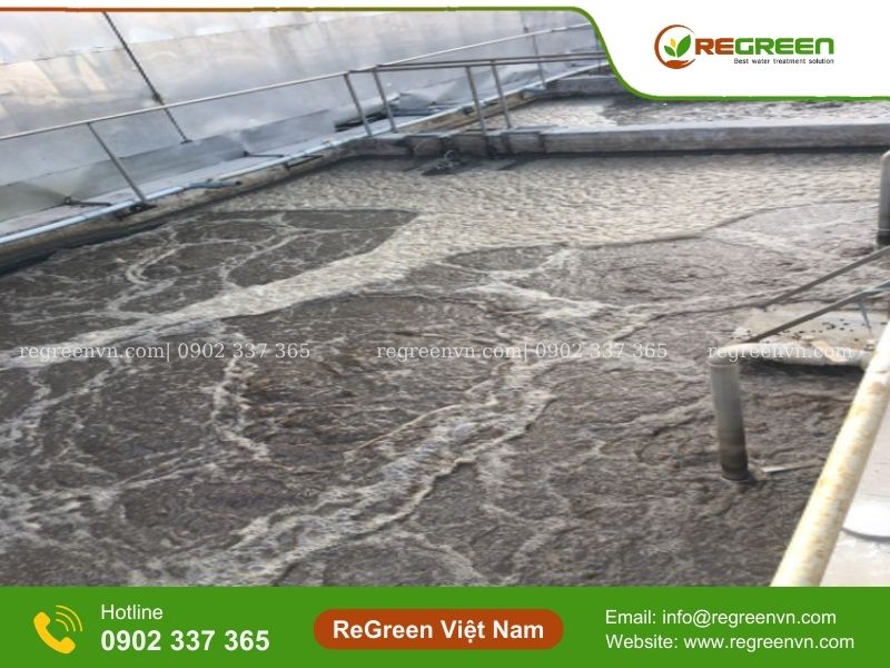 Cách nhận biết, kiểm tra bùn vi sinh đang gặp vấn đề