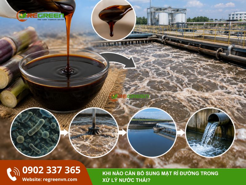 Mật rỉ đường trong xử lý nước thải
