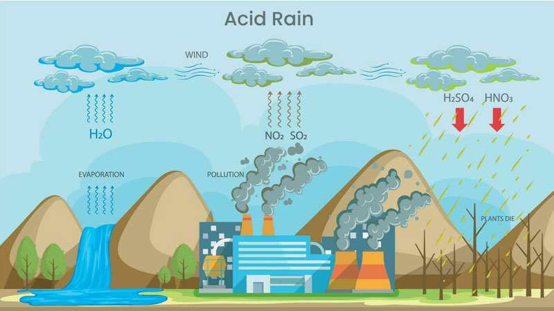 Mưa acid là gì