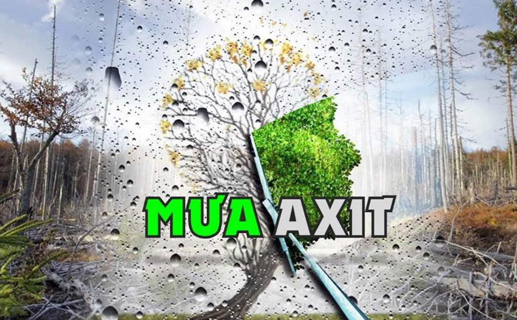 Mưa axit là gì