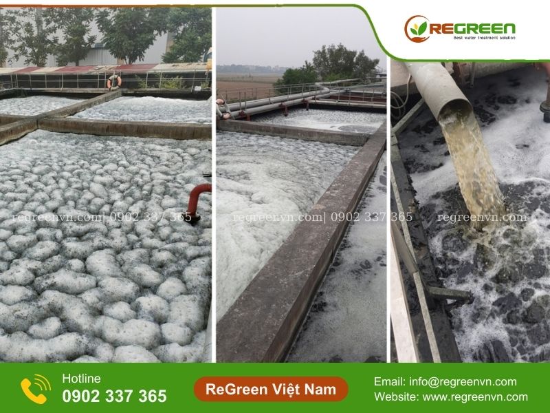 Nguyên nhân gây mùi nước thải