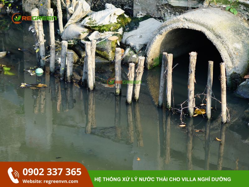 ô nhiễm nguồn nước