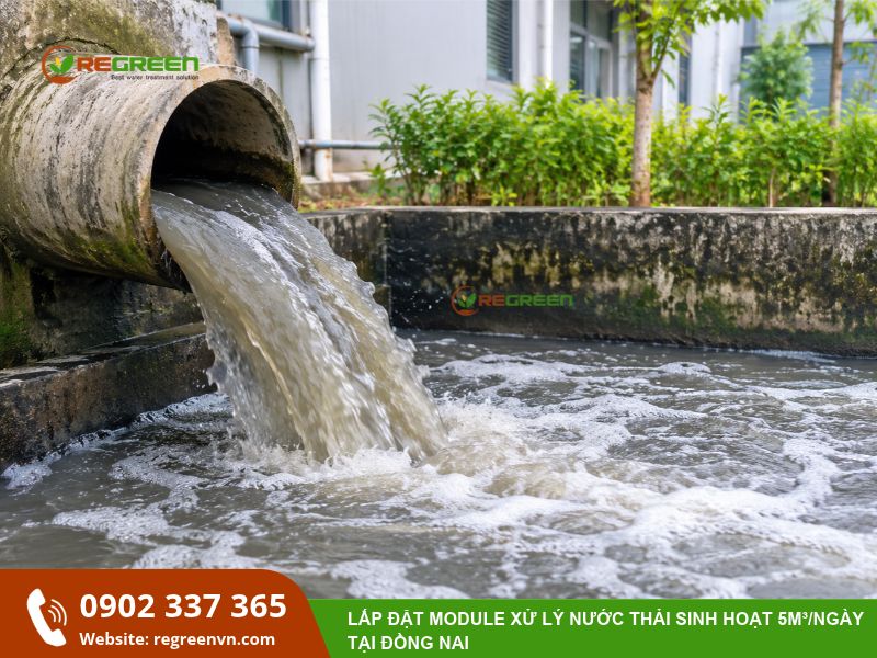 ô nhiễm nguồn nước sinh hoạt