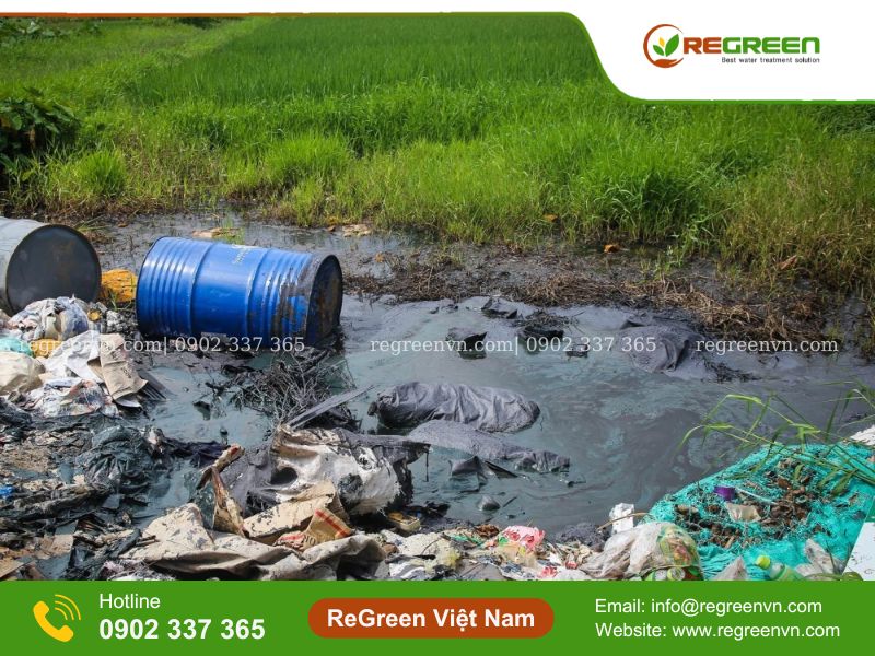 dẫn chứng về ô nhiễm nguồn nước