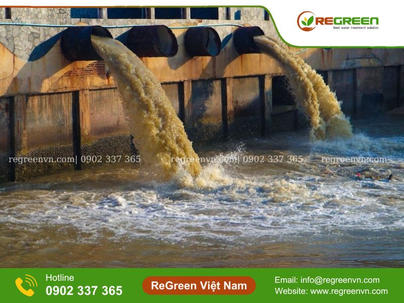 hình ảnh ô nhiễm môi trường nước