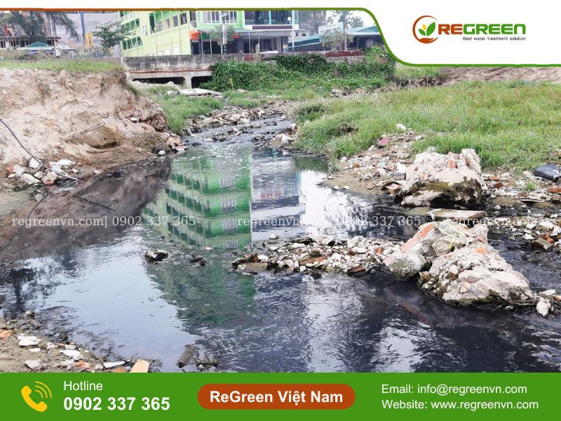 hậu quả của ô nhiễm môi trường nước