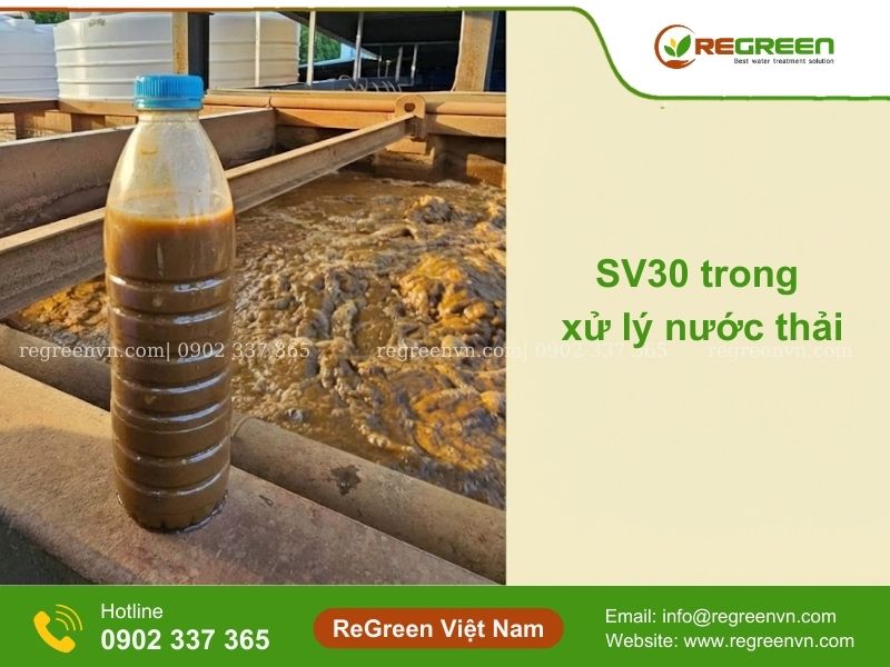SV30 trong xử lý nước thải
