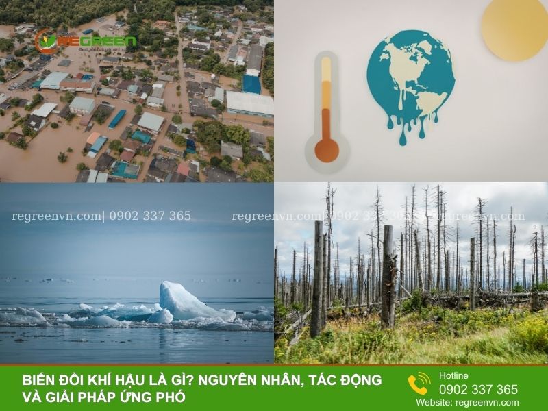 Thực trạng biến đổi khí hậu