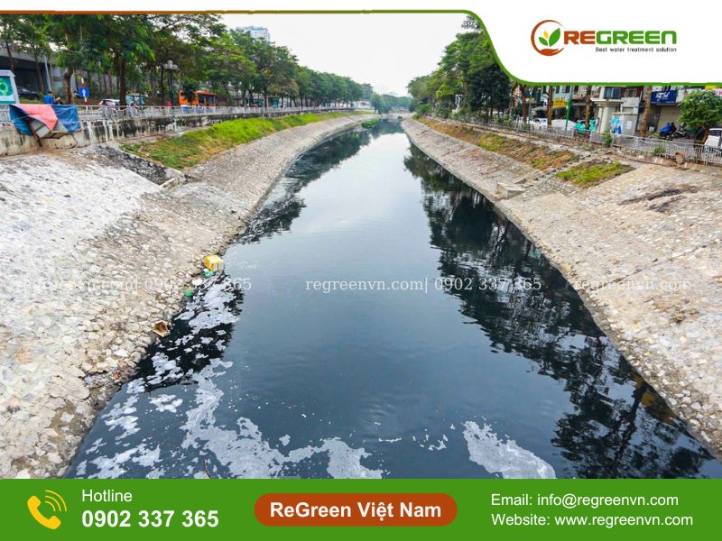 Thực trạng ô nhiễm môi trường