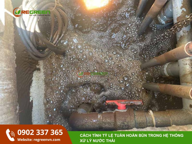 tuần hoàn bùn trong hệ thống xử lý nước thải