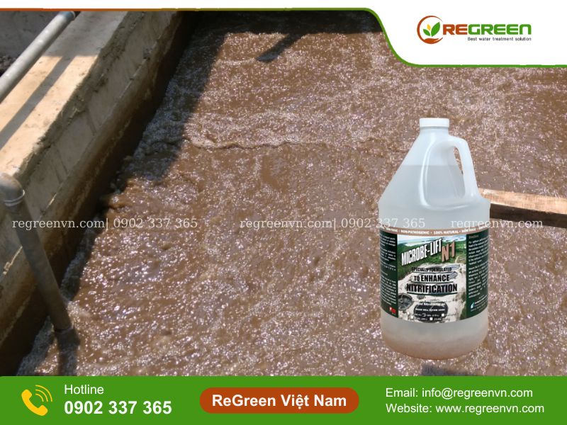 Vi sinh khử Nitơ Microbe Lift N1