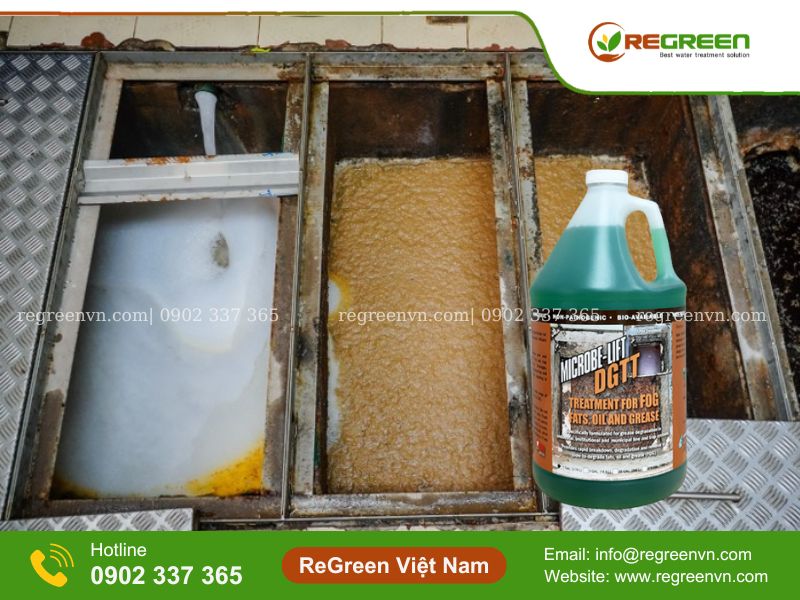 Vi sinh xử lý dầu mỡ Microbe Lift DGTT