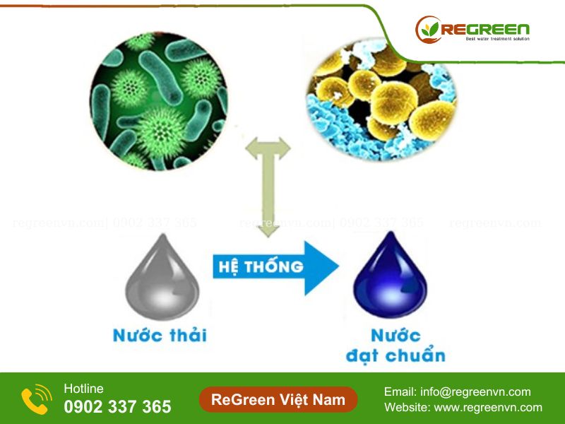 Vi sinh xử lý nước thải
